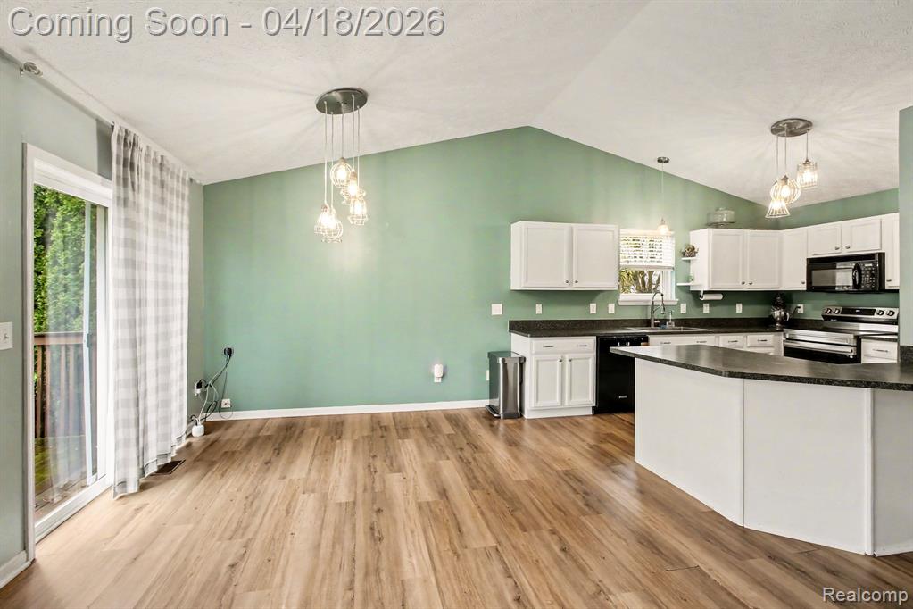 702 Dewars Street, Howell, MI 48843 — Photo 6