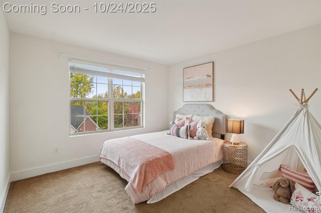 39675 Springwater, Northville, MI 48168 — Photo 20