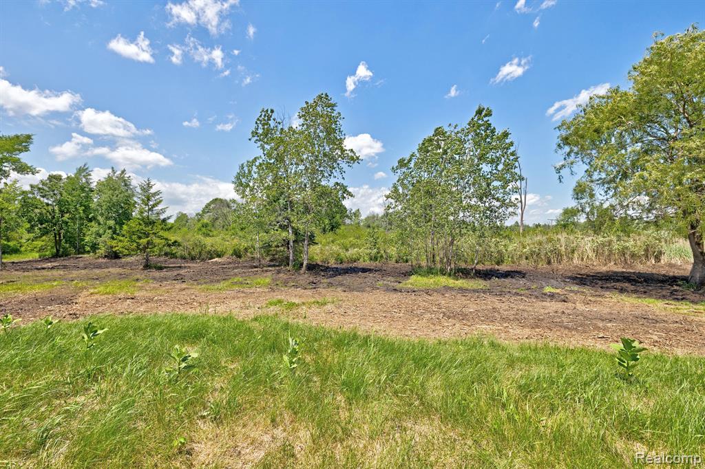 Vacant Land Brandt Road, Ortonville, MI 48462 — Photo 25