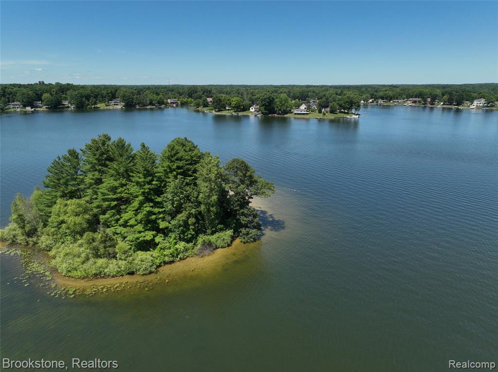 9317 Ridge Road, Goodrich Vlg, MI — Photo 15