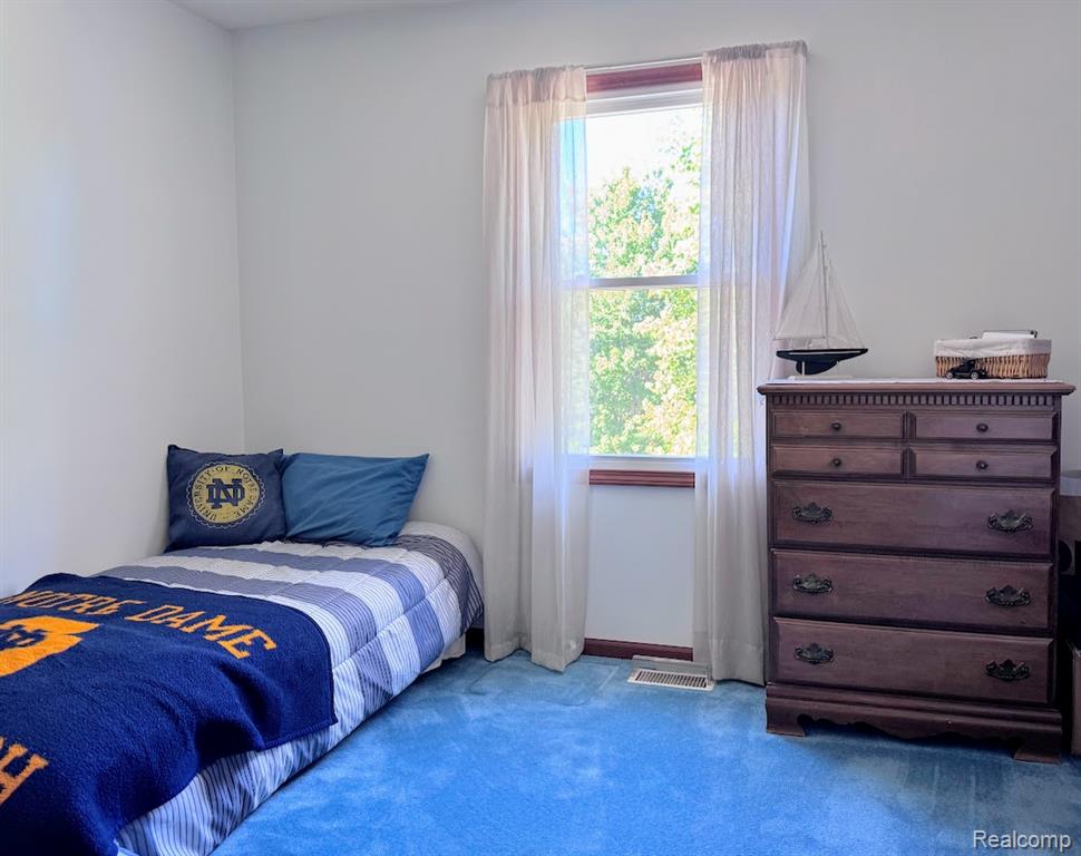 5324 Douglas Road, Monroe, MI 48140 — Photo 21