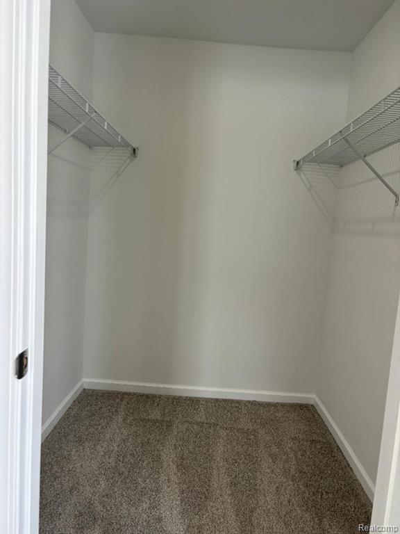 10093 SHEPHERD Road, Onsted, MI 49265 — Photo 28
