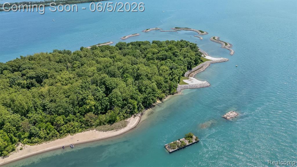 28195 Elba Drive, Grosse Ile, MI 48138 — Photo 63