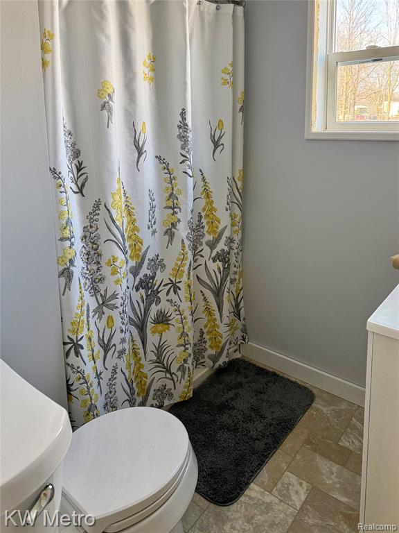 563 N Ovid Street, Elsie, MI 48831 — Photo 12