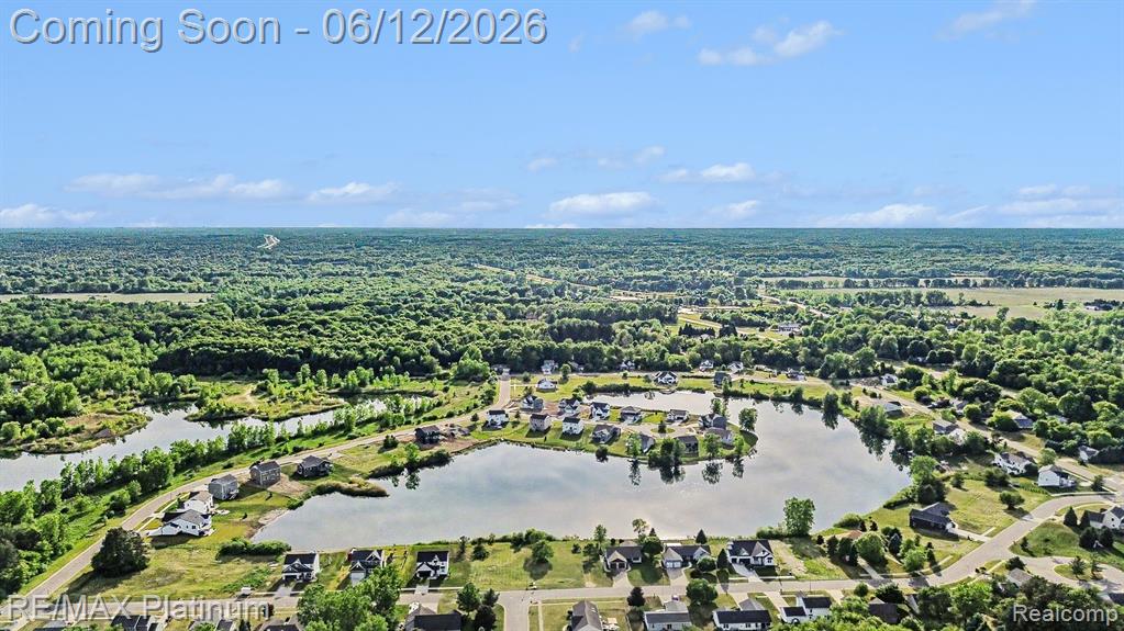 603 LAND BRIDGE, Perry, MI 48872 — Photo 32