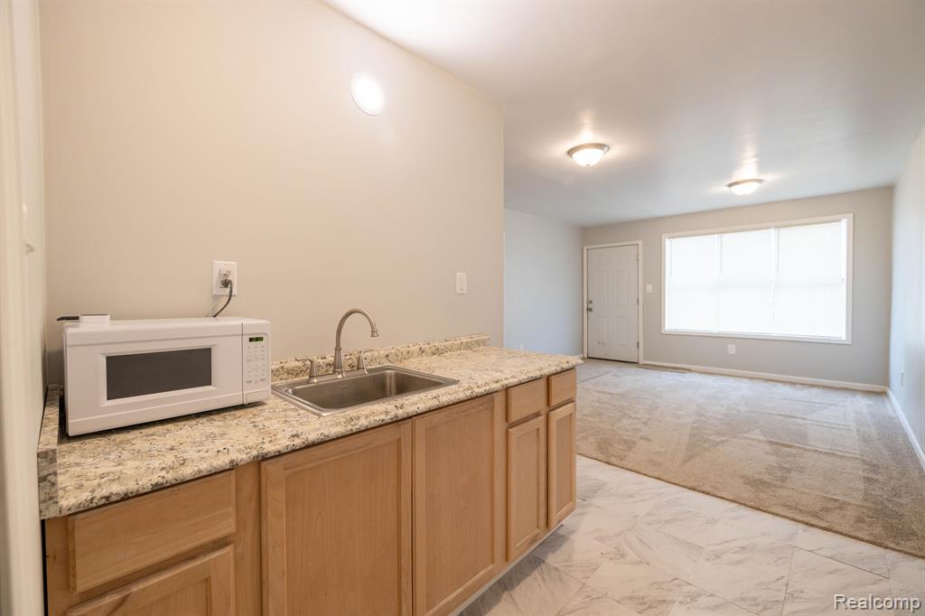 17419 WANDA Street, Highland Park, MI 48203 — Photo 11