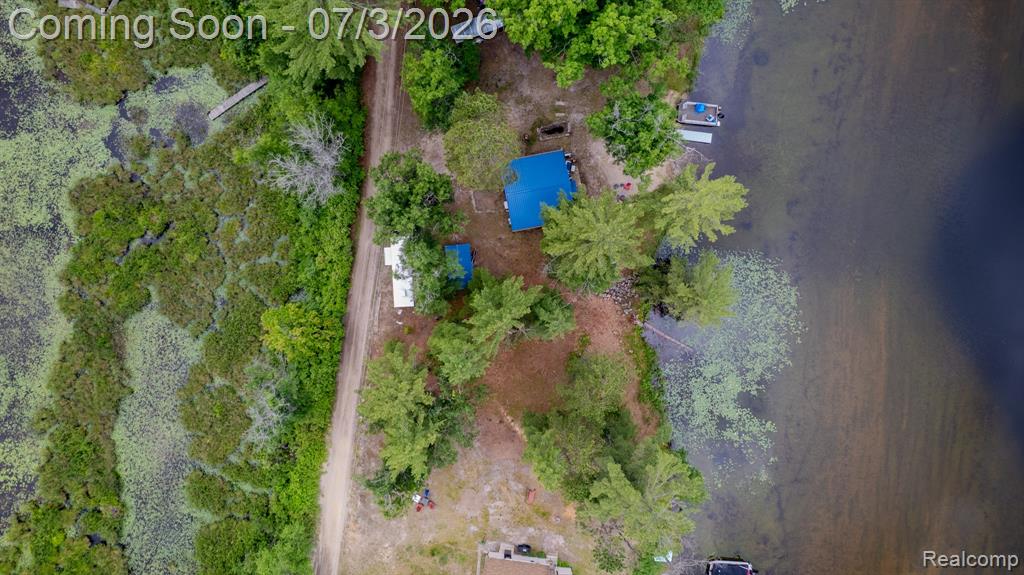 8272 Paradise Drive, South Branch, MI 48761 — Photo 55