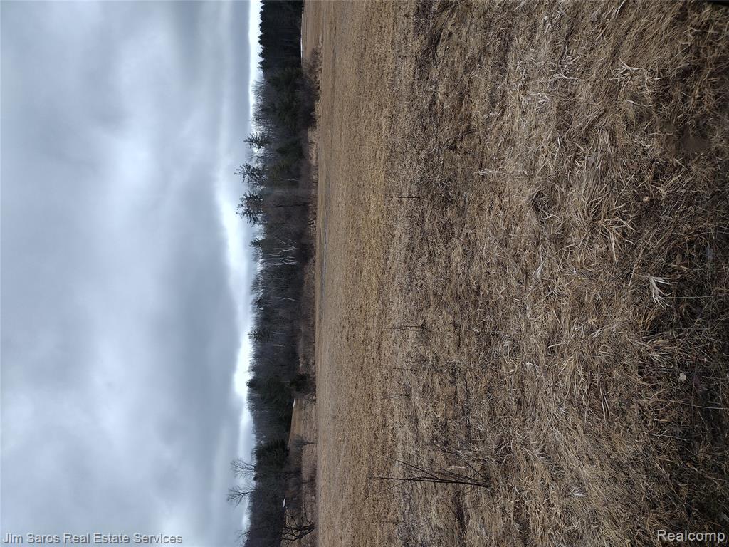 4771 E County Line Road, South Branch, MI 48761 — Photo 8