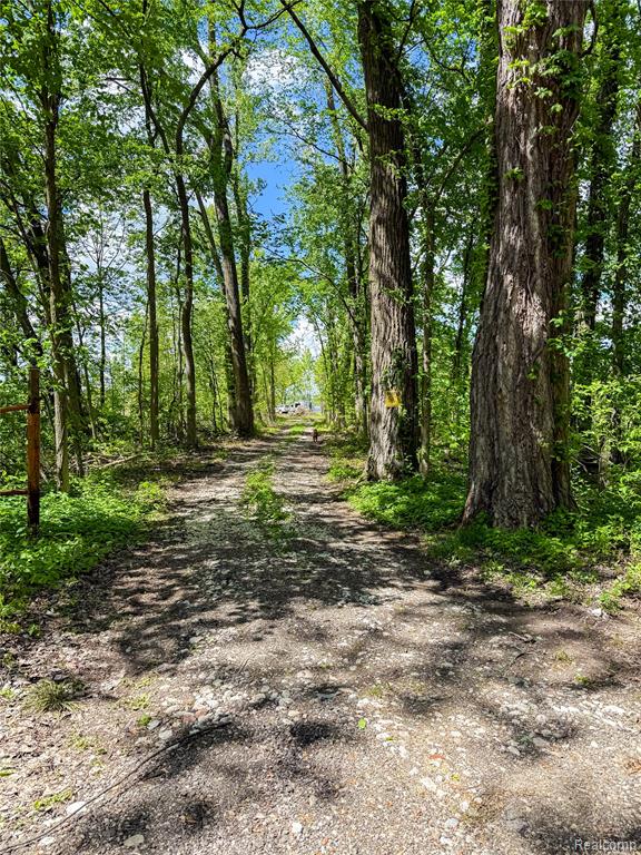 4788 Parker Drive, Howell, MI 48843 — Photo 9
