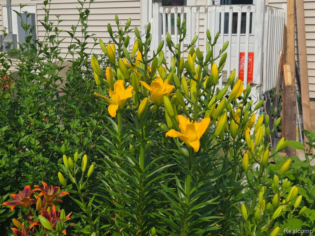 6158 S Fulton Street, Mayville Vlg, MI 48744 — Photo 64
