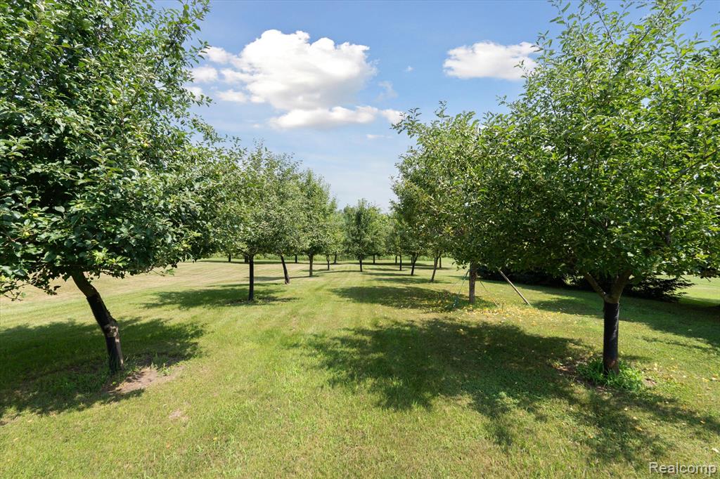 9227 Hogan Road, Fenton, MI 48430 — Photo 41