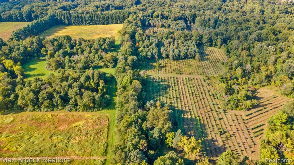 4700 Stanley Road, Columbiaville, MI 48421 — Photo 11