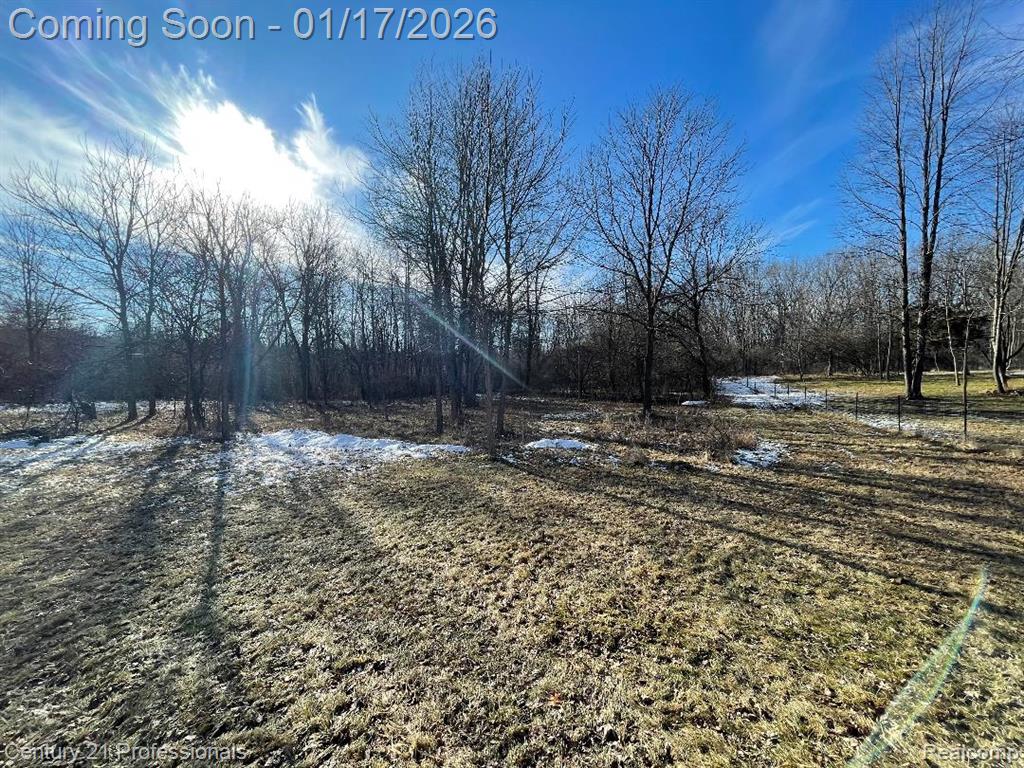 11946 Monagan Highway, Tipton, MI 49287 — Photo 10