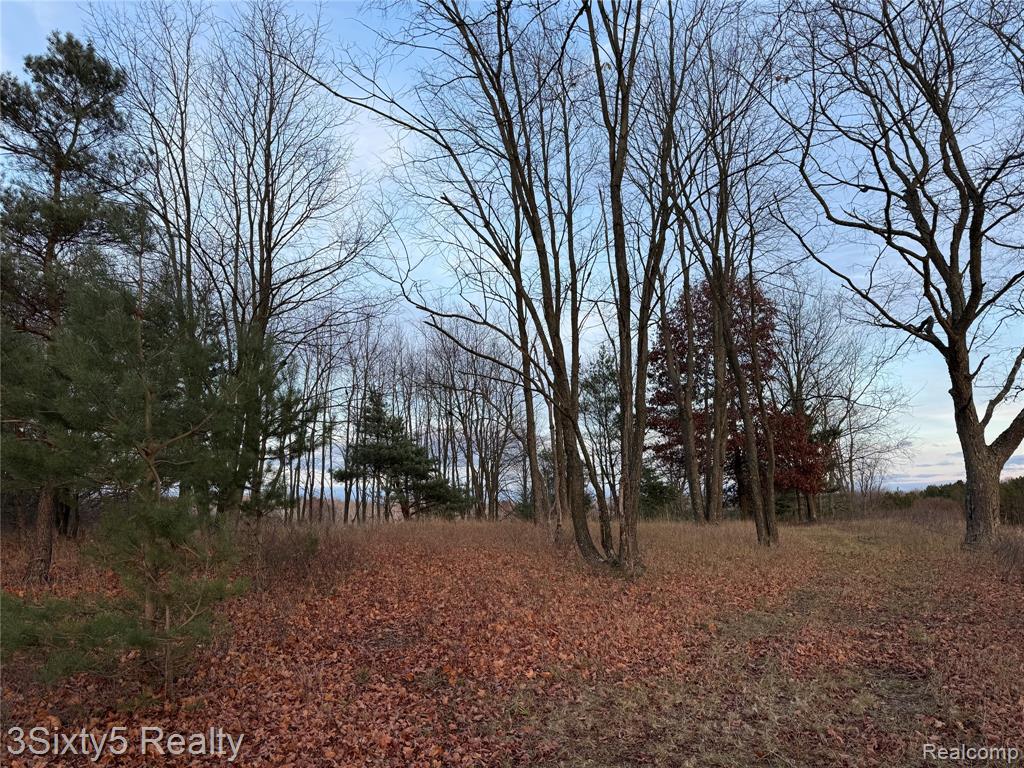 7710 10 Mile Road, Bitely, MI 49309 — Photo 3