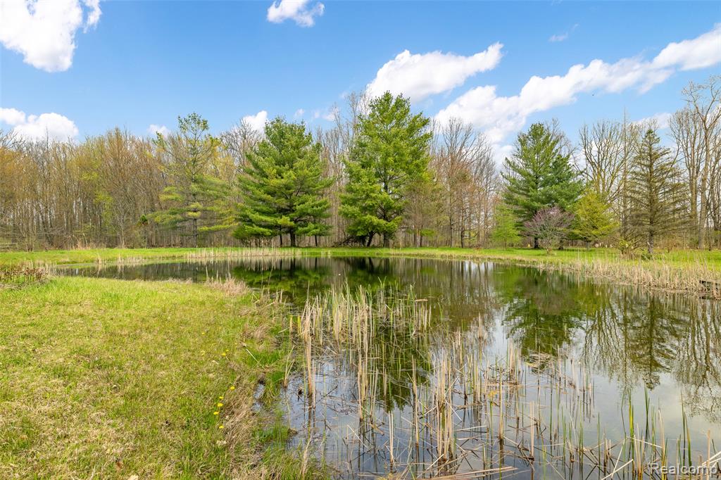 4425 Bethuy Road, Casco, MI 48064 — Photo 60