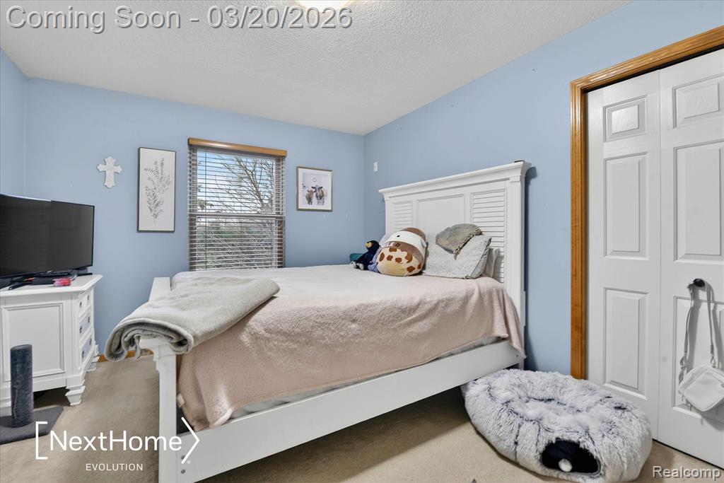 27078 Brookview Court, Flat Rock, MI 48134 — Photo 53