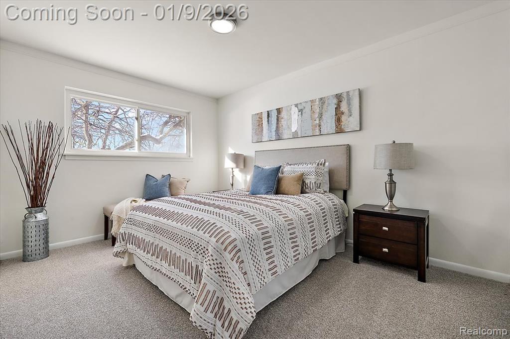 9848 Milburn Street, Livonia, MI 48150 — Photo 14