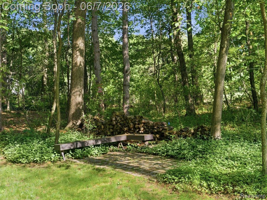 202 Nakomis Trail, Lake Orion, MI 48362 — Photo 75