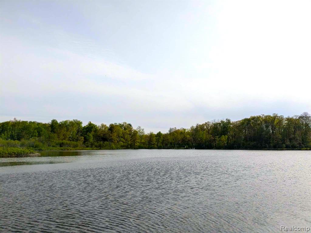 5554 N Sauble Lake Drive, Irons, MI 49644 — Photo 56