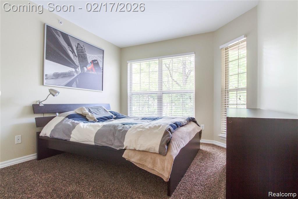 41605 COPPER CREEK Drive, Canton, MI 48187 — Photo 10