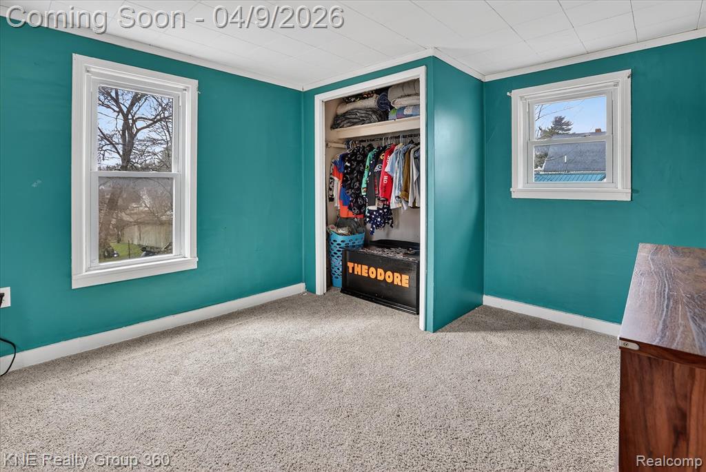 217 Maple Avenue, Alma, MI 48801 — Photo 21