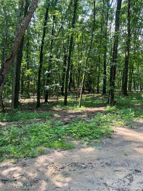 4 Sleaford-Parcel 4 - 32.92 Acres Road, Howell, MI 48843 — Photo 36