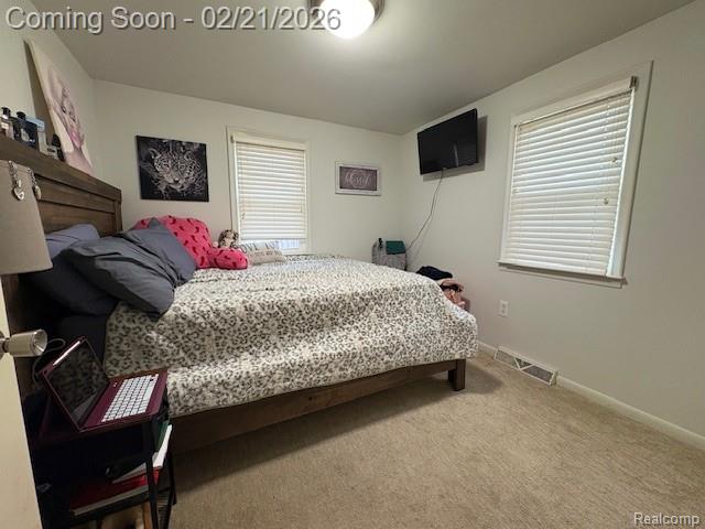 6332 Superior Drive, Brighton, MI 48116 — Photo 23