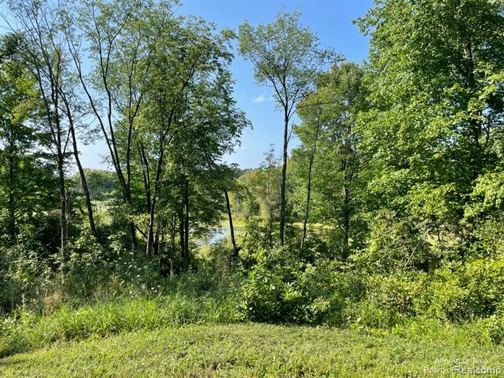 VL Denton Hills Road, Fenton, MI 48430 — Photo 8