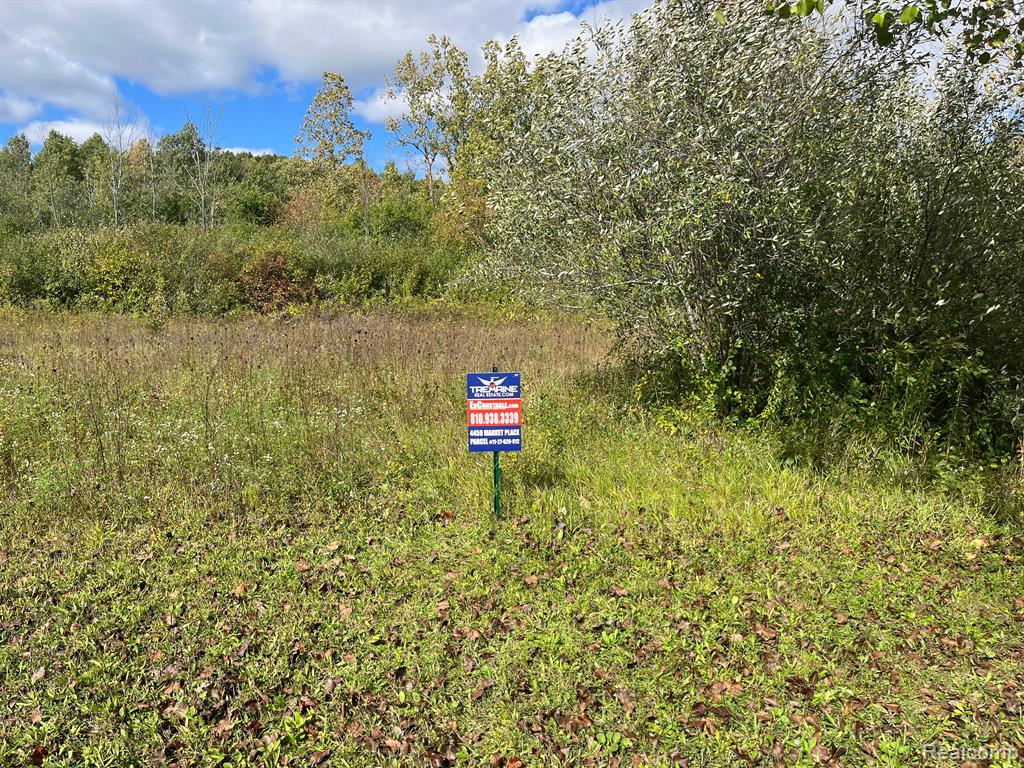 Search Homes for Sale