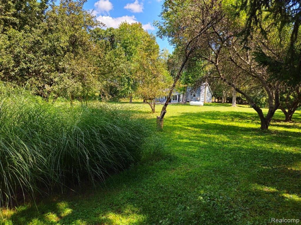 9750 Whitmore Lake Road, Brighton, MI 48116 — Photo 41