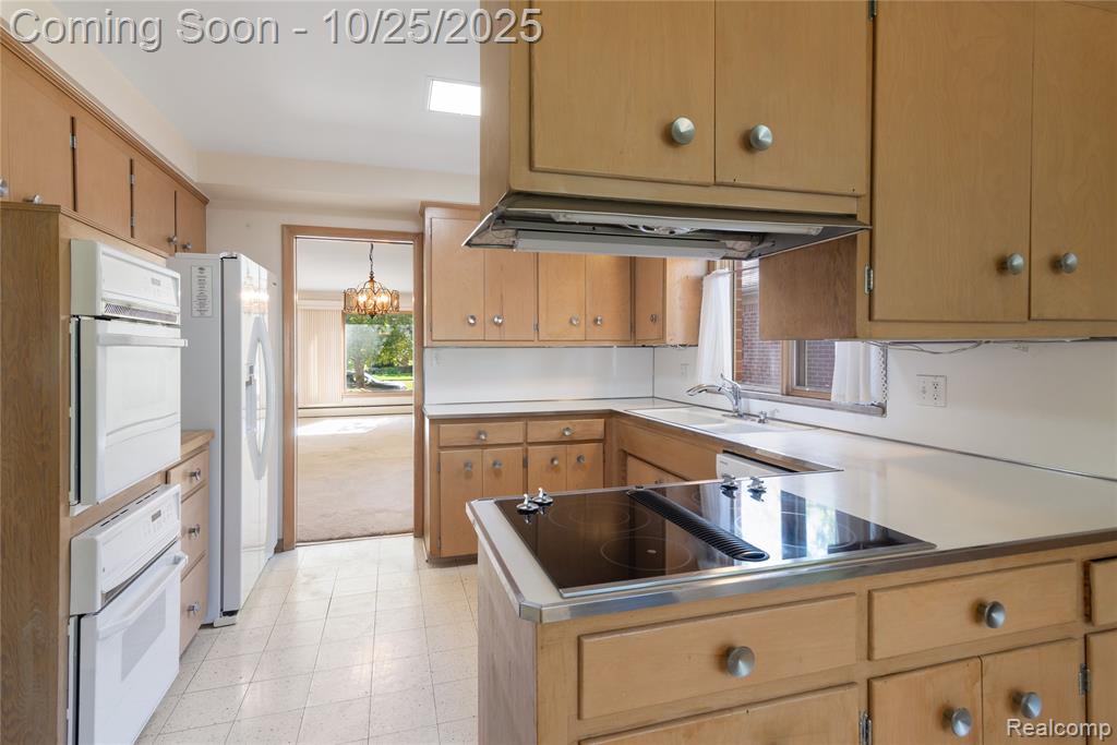 10774 Lincoln Drive, Huntington Woods, MI — Photo 9