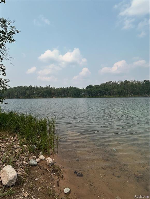6658 Brookfield Court, Elmira, MI 49730 — Photo 10