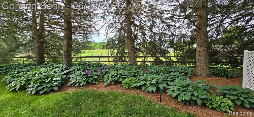 5900 Carter Court, Howell, MI 48843 — Photo 65