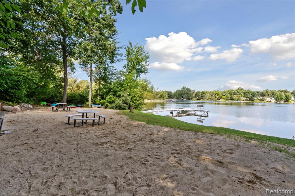 1441 Remsing Street, Hartland, MI 48353 — Photo 54