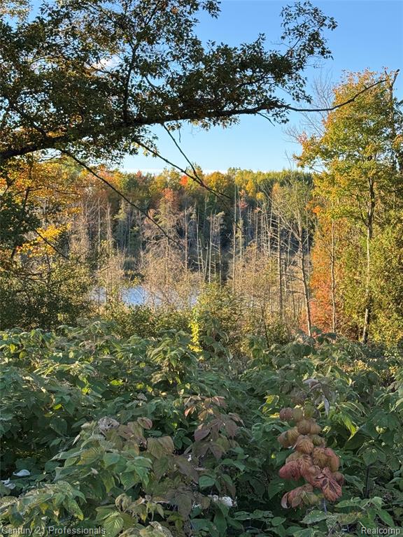 3608 S State, Glennie, MI 48737 — Photo 15