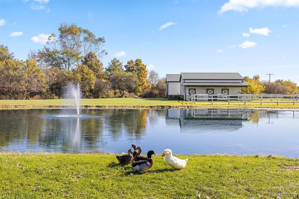 3985 Wadhams Road, China, MI — Photo 47