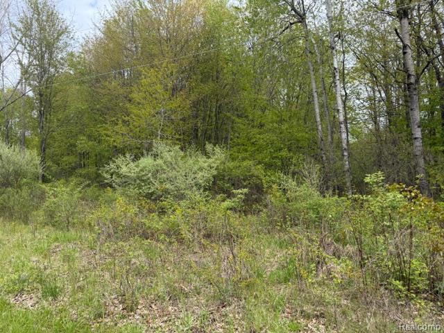 V/L Green Creek Ln, Oxford, MI 48371 — Photo 8
