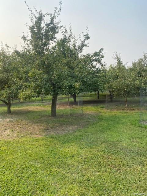 7762 Mason Road, Yale, MI 48097 — Photo 9