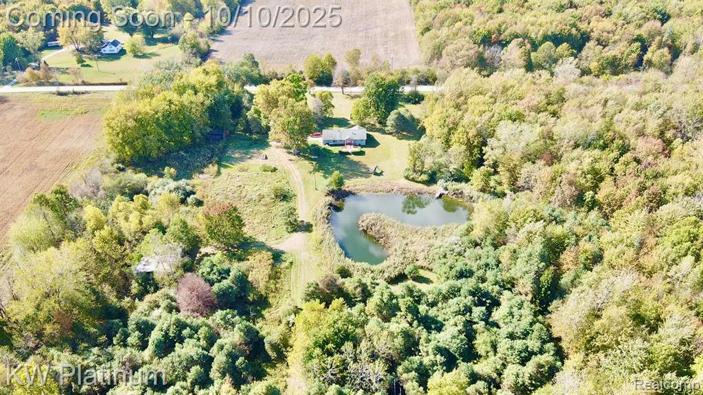 4663 Hessen Road, Casco, MI 48064 — Photo 68