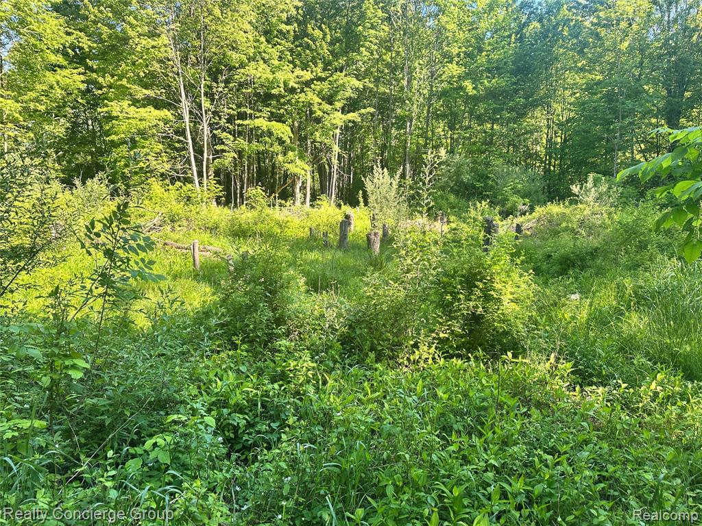 2681 Fisk Road, Howell, MI 48843 — Photo 13