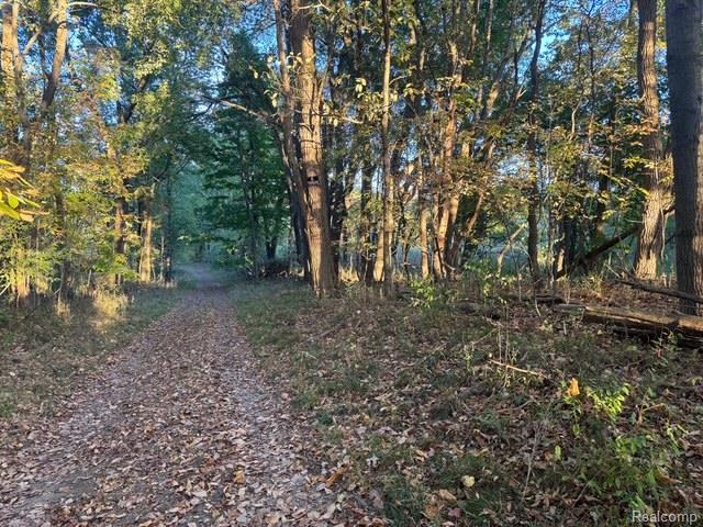 VL Rock Valley Road, Metamora, MI 48455 — Photo 19