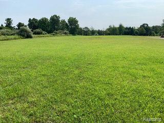 Lot 1 Misty Meadow Road, Howell, MI 48843 — Photo 6