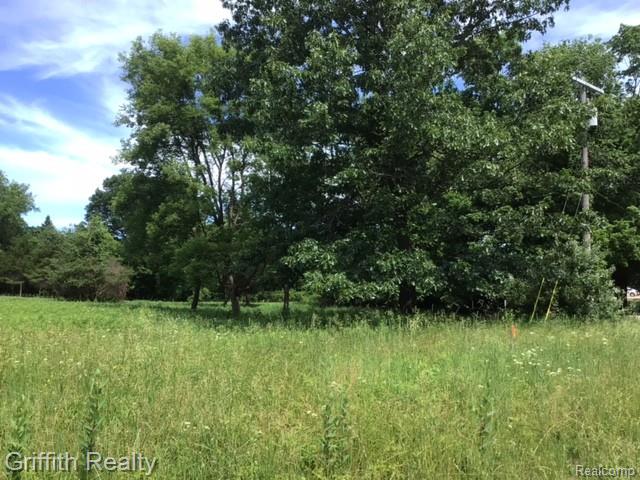 Parcel 1 E Coon Lake Road, Howell, MI 48843 — Photo 3