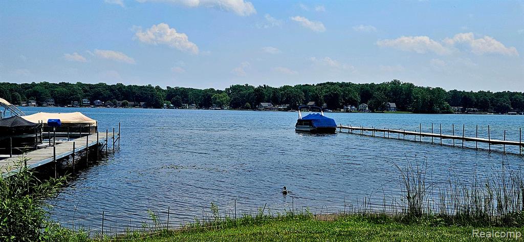 9551 KRESS Road, Pinckney, MI 48169 — Photo 33