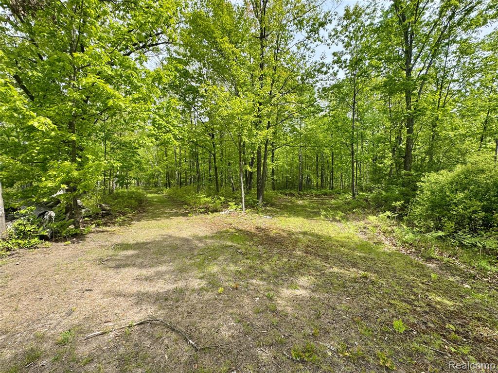 499 E Winegars Road, Gladwin, MI 48624 — Photo 6