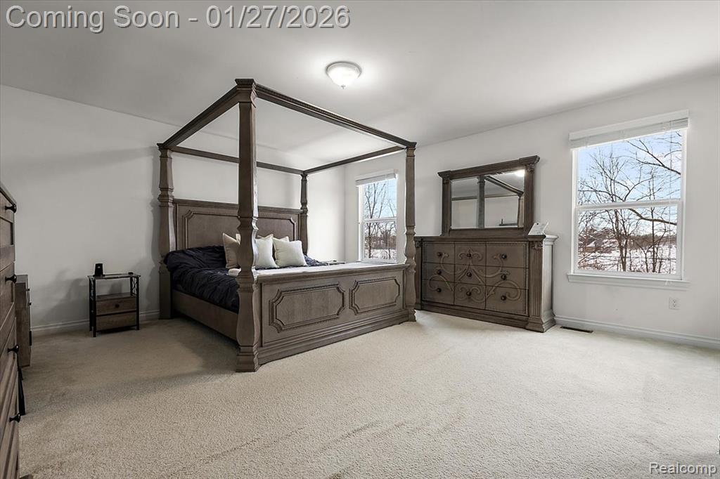 43149 Wilderness Drive, Canton, MI 48188 — Photo 12