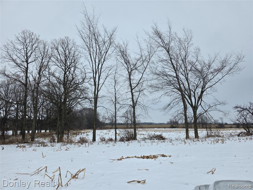 9999 Montgomery, Sanilac, MI 48453 — Photo 6