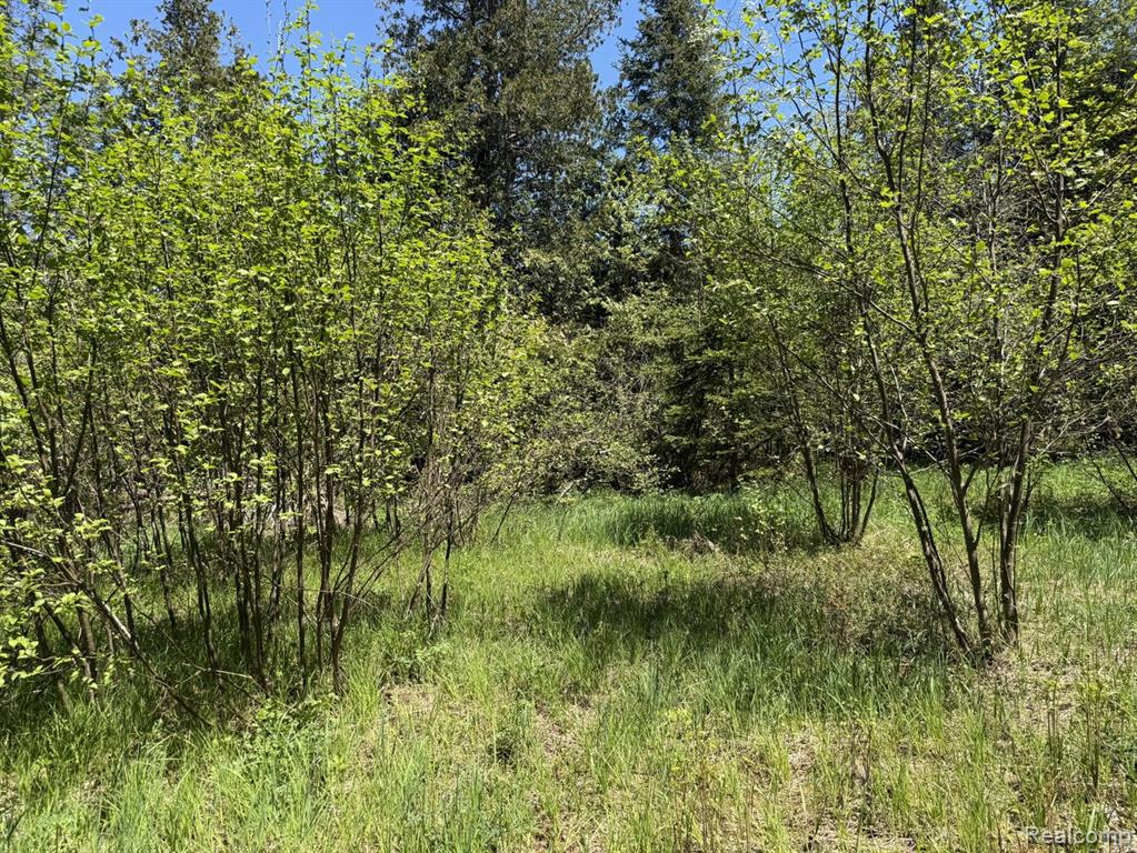 9718 W Black River Road, Naubinway, MI 49762 — Photo 10