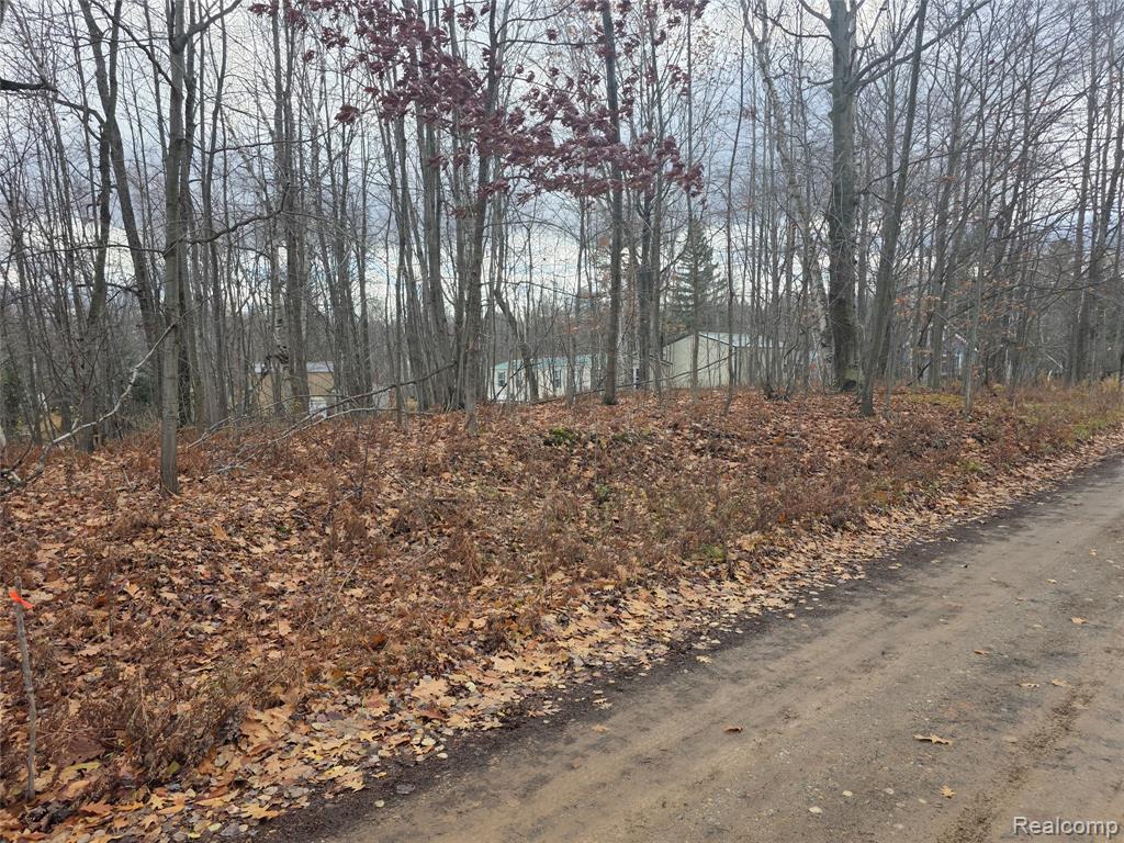 VL Birch Road, Evart, MI 49631 — Photo 2