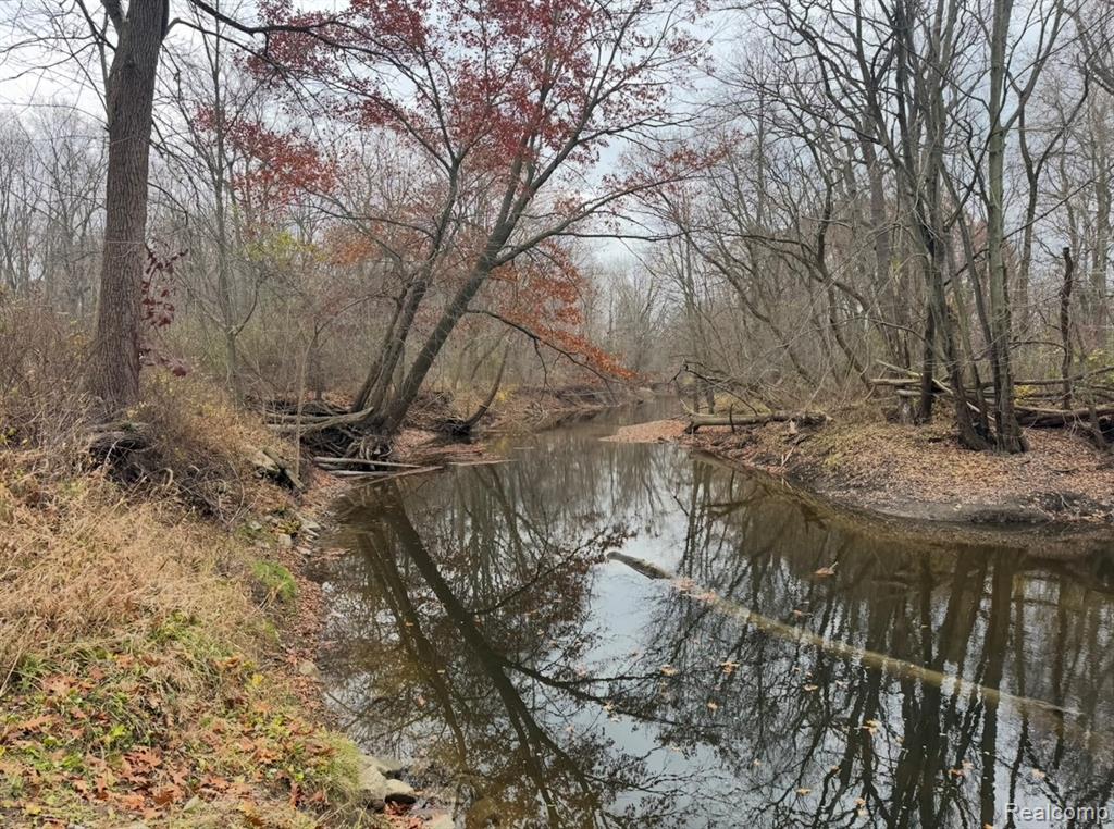 01 Remer Road, China, MI — Photo 11